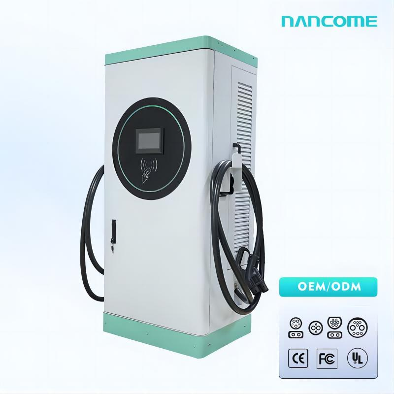 Solar-Powered Fast Charging Station for Chademo Electric Vehicles