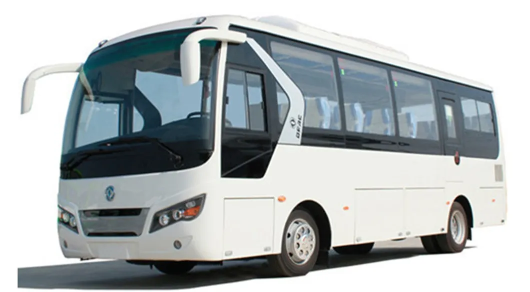 Coach Bus Front View