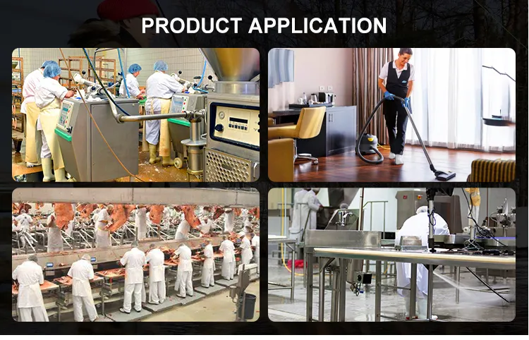 Application View