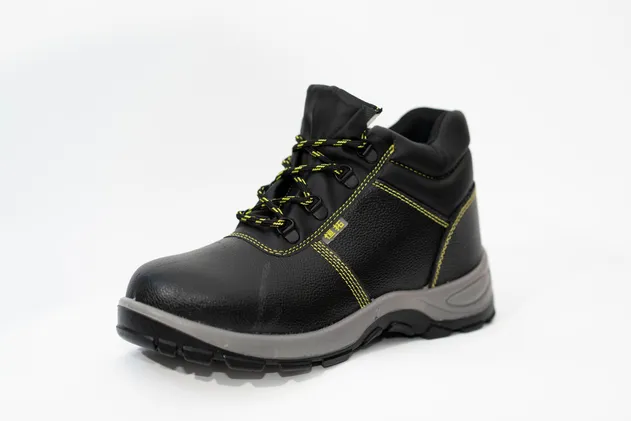 Safety Shoes 1