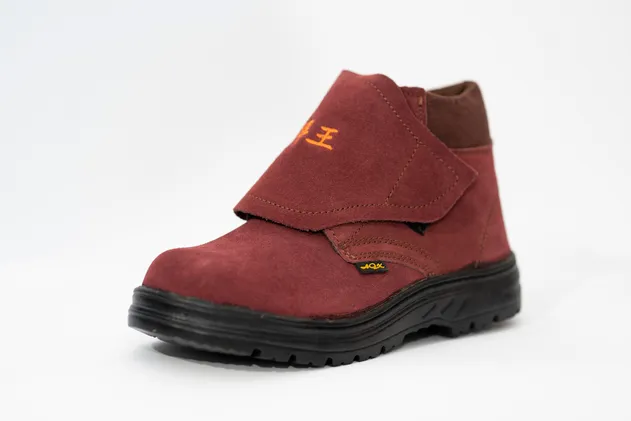 Safety Shoes 3