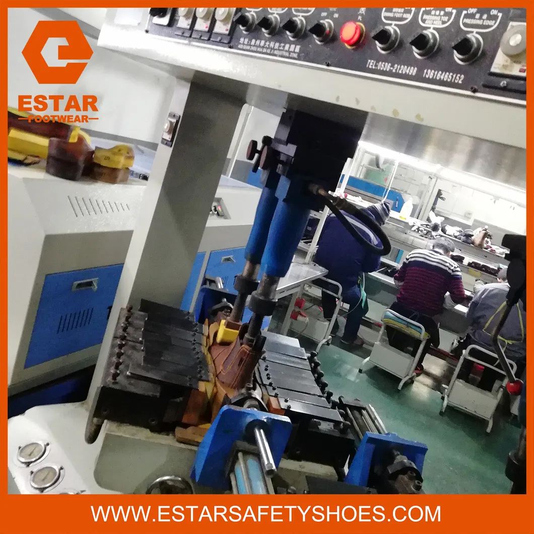 Safety Shoes View 6