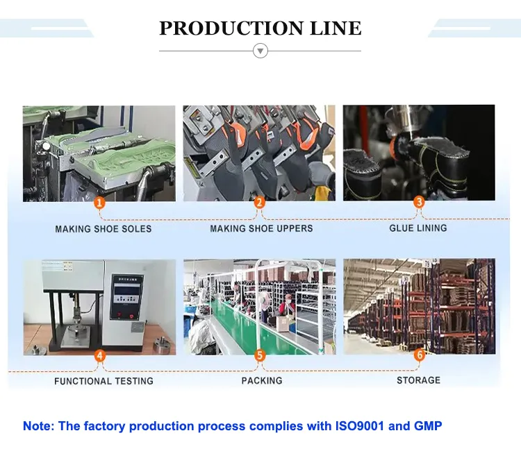 Anatomy of Shoe