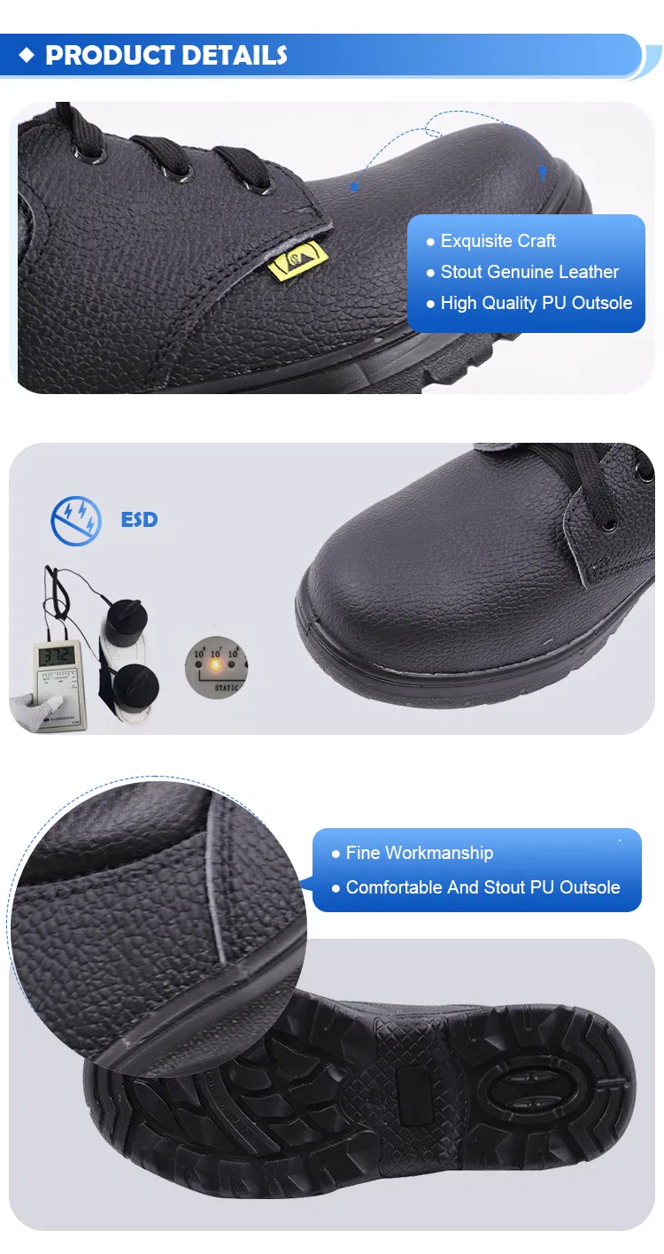 Durable Lightweight Steel Toe Safety Sneakers