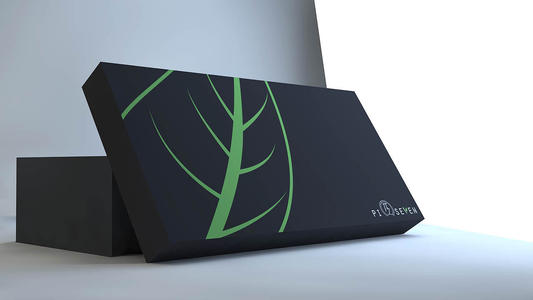 Shoe Box