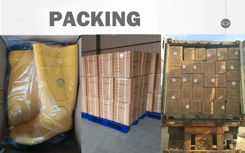 Warehouse and Shipping