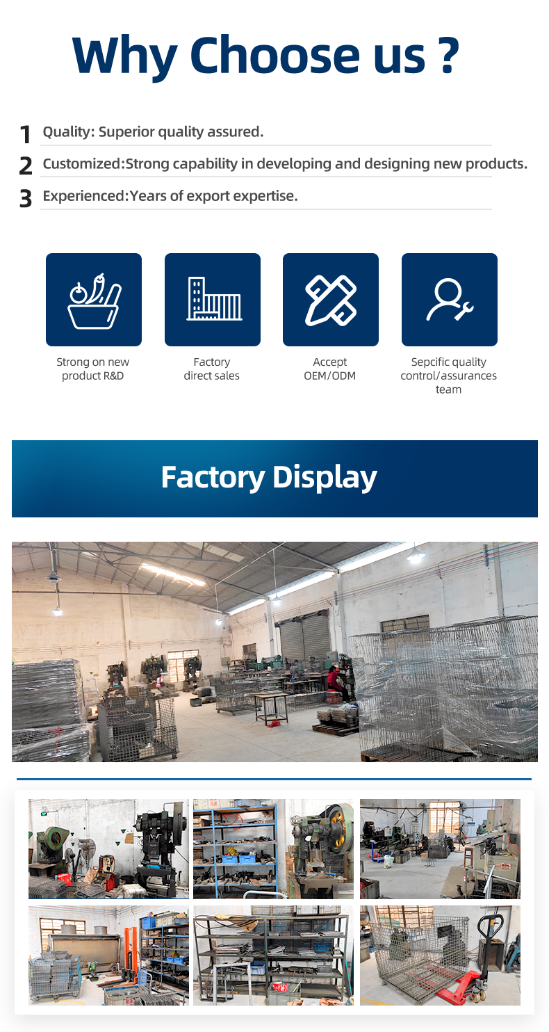Company Showcase 2
