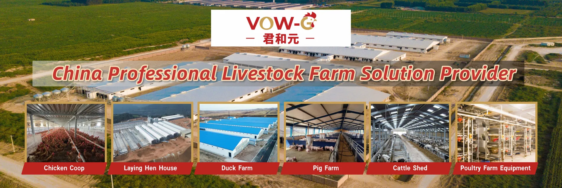 Automatic Modern Layer Duck Cage Complete Automatic Poultry Farming System