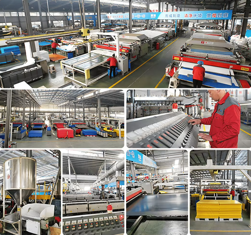 Warehouse organization system
