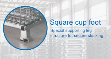 Collapsible Wire Cage