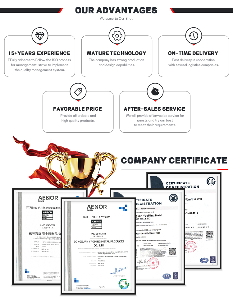 Our Advantages Infographics