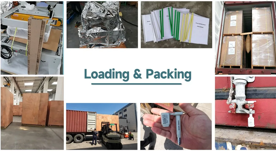 Automated Storage and Retrieval System with Shuttle Pallet Racking Warehouse Asrs