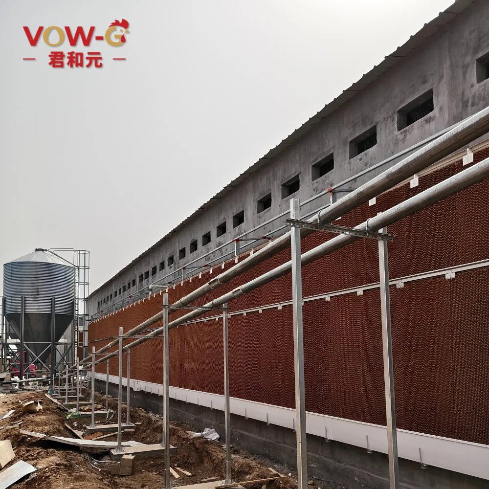 China Factory Direct Sales Automatic Modern Layer Duck Cage Complete Automatic Poultry Farming System