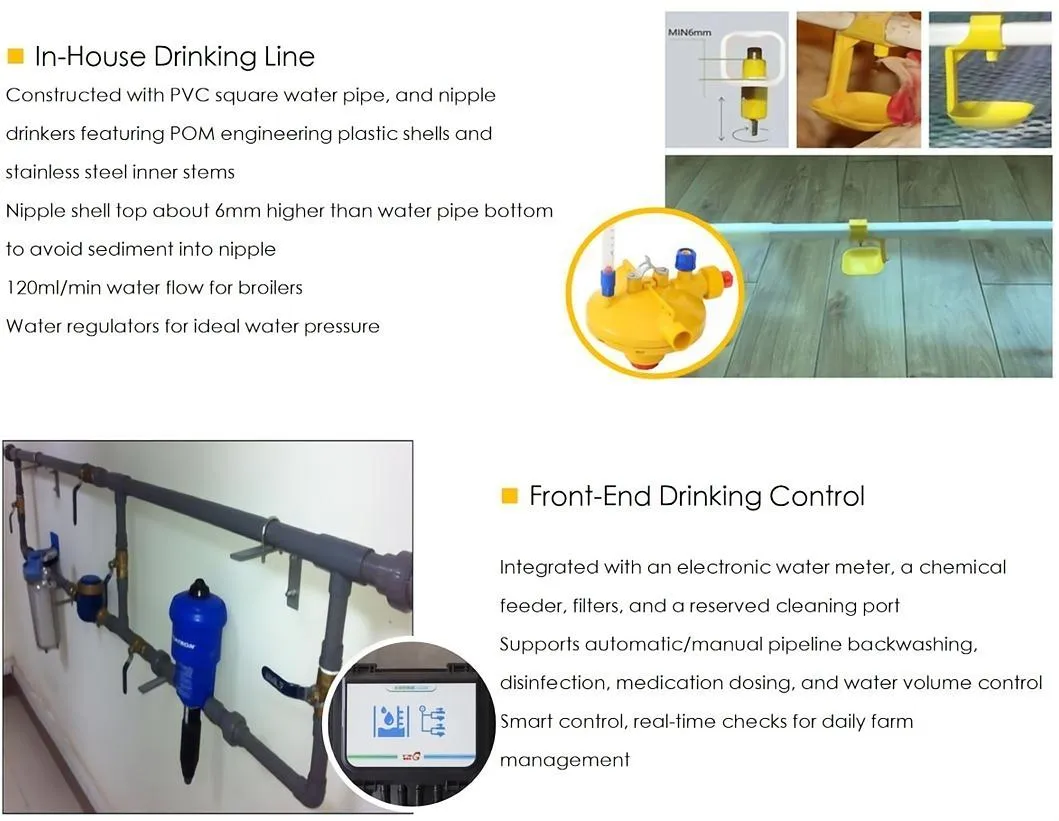 Automatic Modern Layer Duck Cage Complete Automatic Poultry Farming System