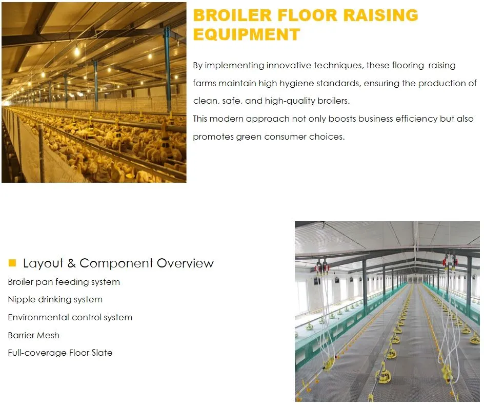 Automatic Modern Layer Duck Cage Complete Automatic Poultry Farming System