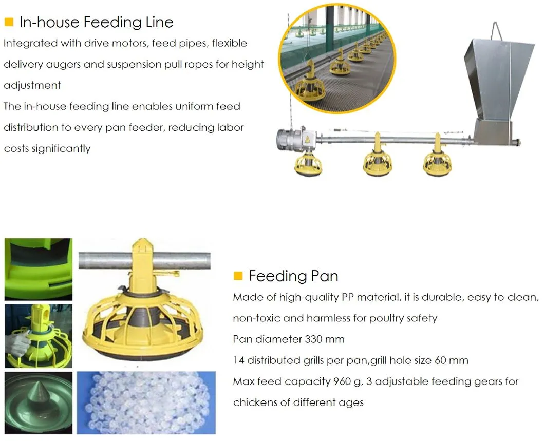 Automatic Modern Layer Duck Cage Complete Automatic Poultry Farming System