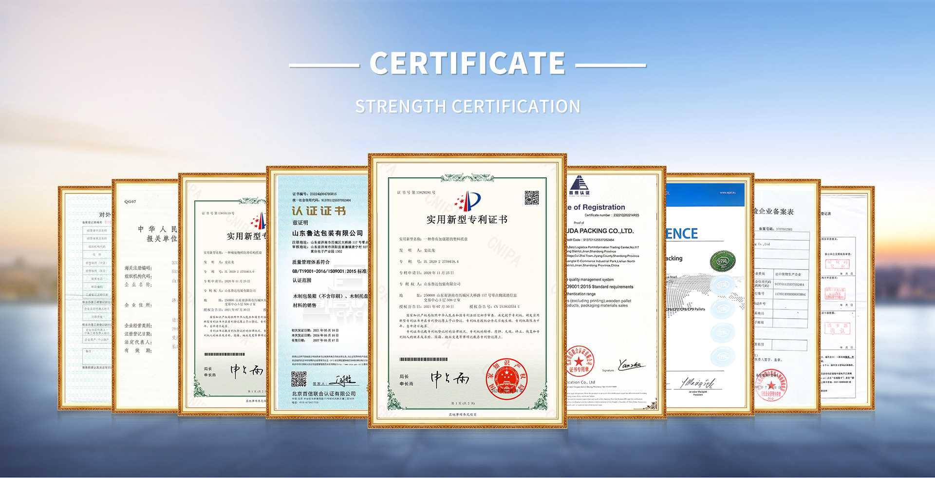 SGS Environmental Test Report certificate