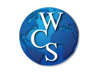 Warehouse Control System WCS Workflow