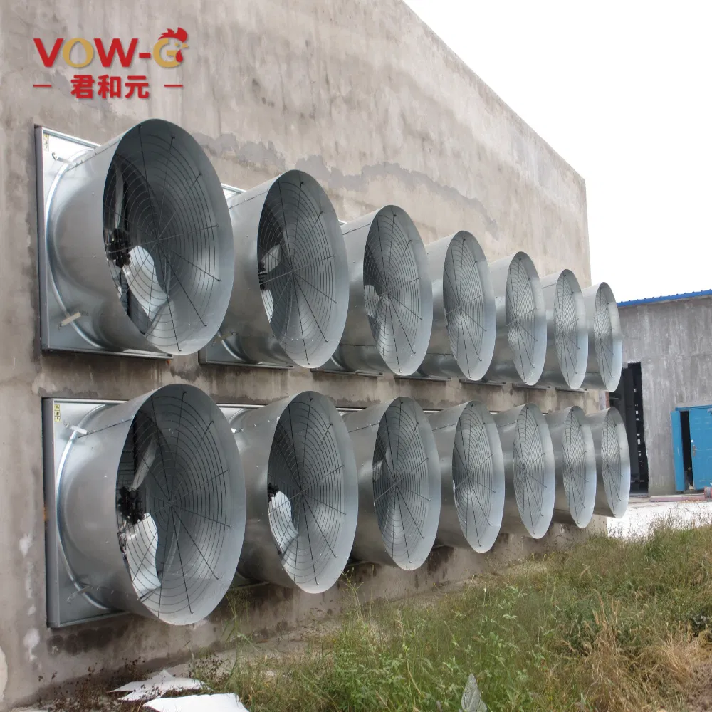 China Factory Direct Sales Automatic Modern Layer Duck Cage Complete Automatic Poultry Farming System