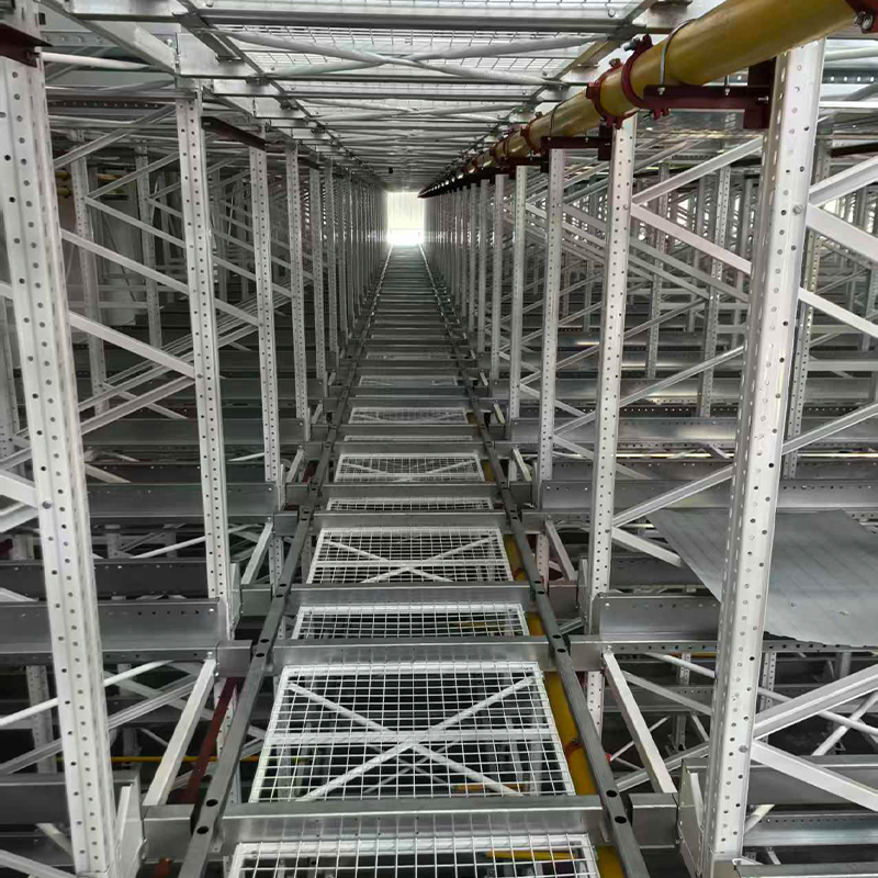 Siemens PLC Control Intelligent Heavy Duty High Density Radio Shuttle Automated Warehouse System 500-2000kg Load Capacity Steel