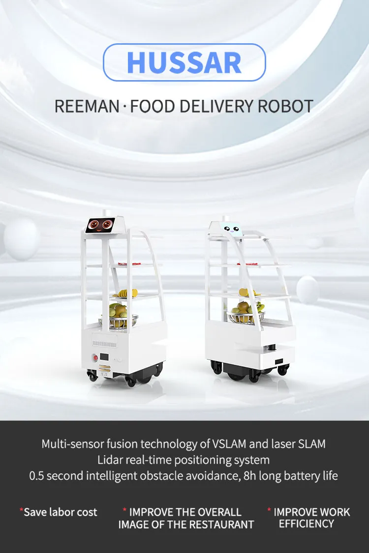 Commercial Food Delivery Robot Detail 1