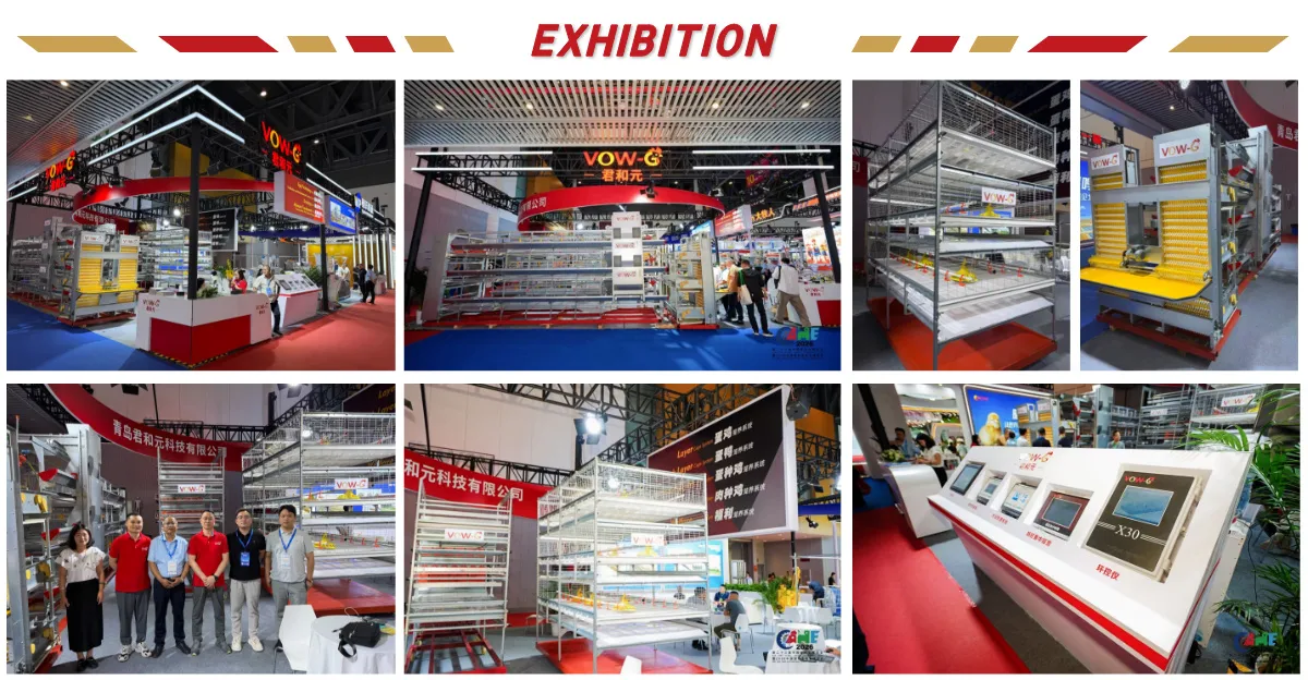 Automatic Modern Layer Duck Cage Complete Automatic Poultry Farming System