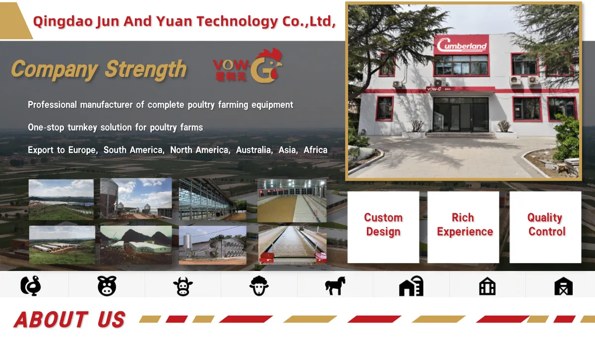 Automatic Modern Layer Duck Cage Complete Automatic Poultry Farming System