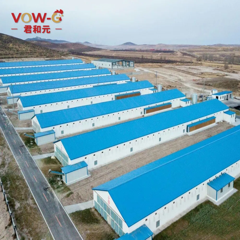 China Factory Direct Sales Automatic Modern Layer Duck Cage Complete Automatic Poultry Farming System