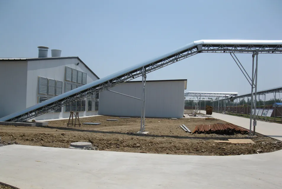 Automatic Modern Layer Duck Cage Complete Automatic Poultry Farming System