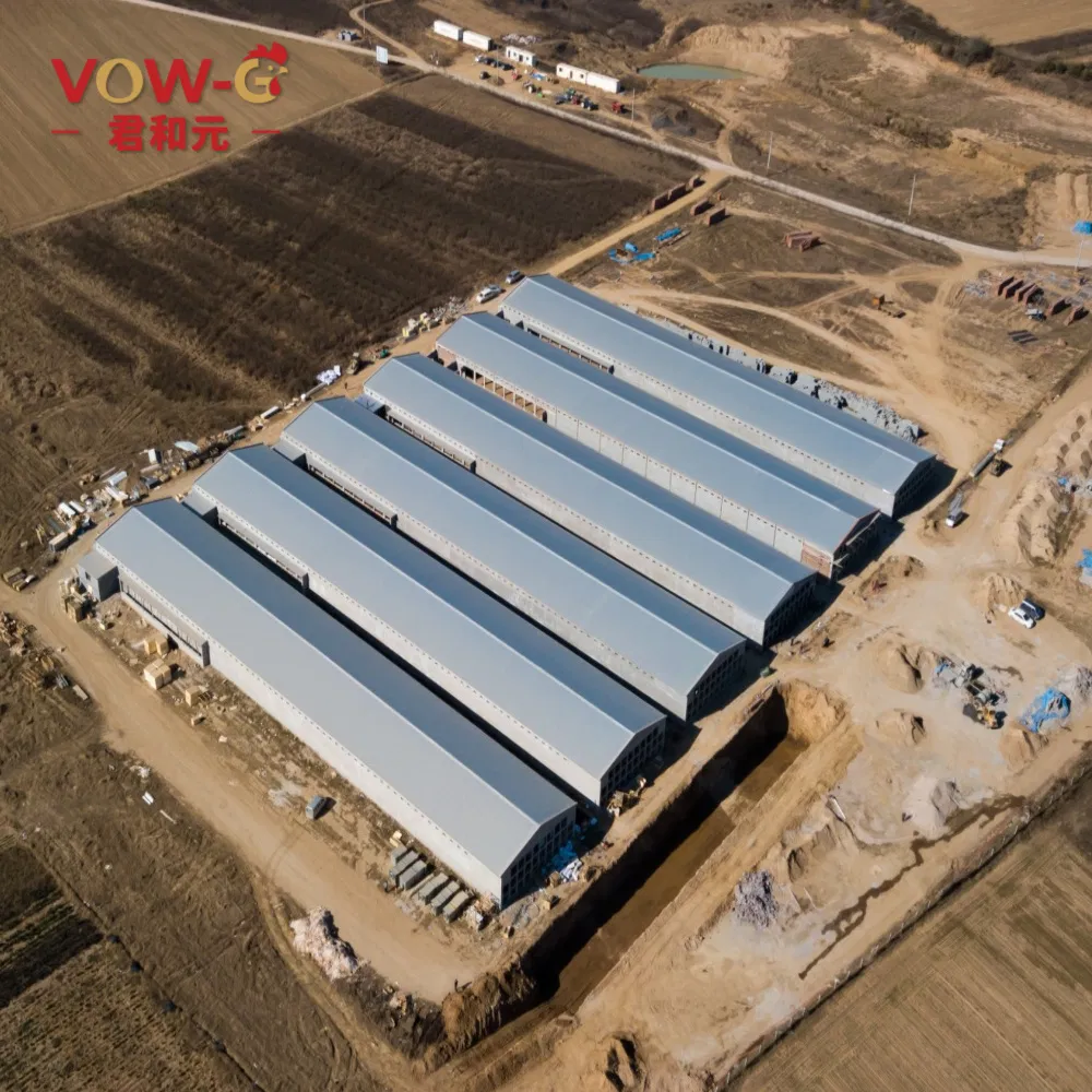 China Factory Direct Sales Automatic Modern Layer Duck Cage Complete Automatic Poultry Farming System