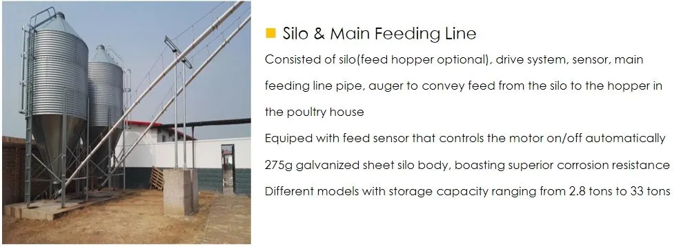 Automatic Modern Layer Duck Cage Complete Automatic Poultry Farming System