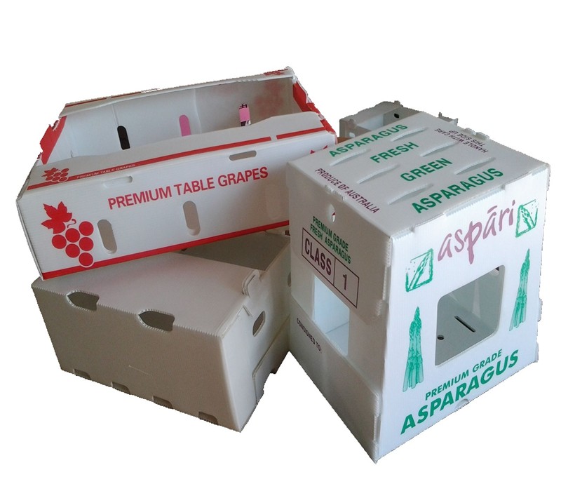 Custom Boxes 2