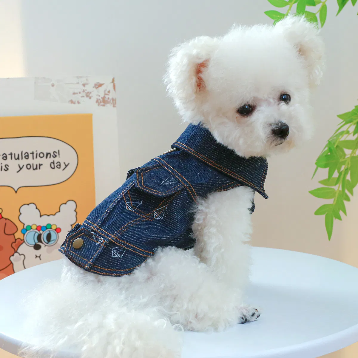 Novo gato de estimação, cachorro de estimação, jeans com botão ajustável