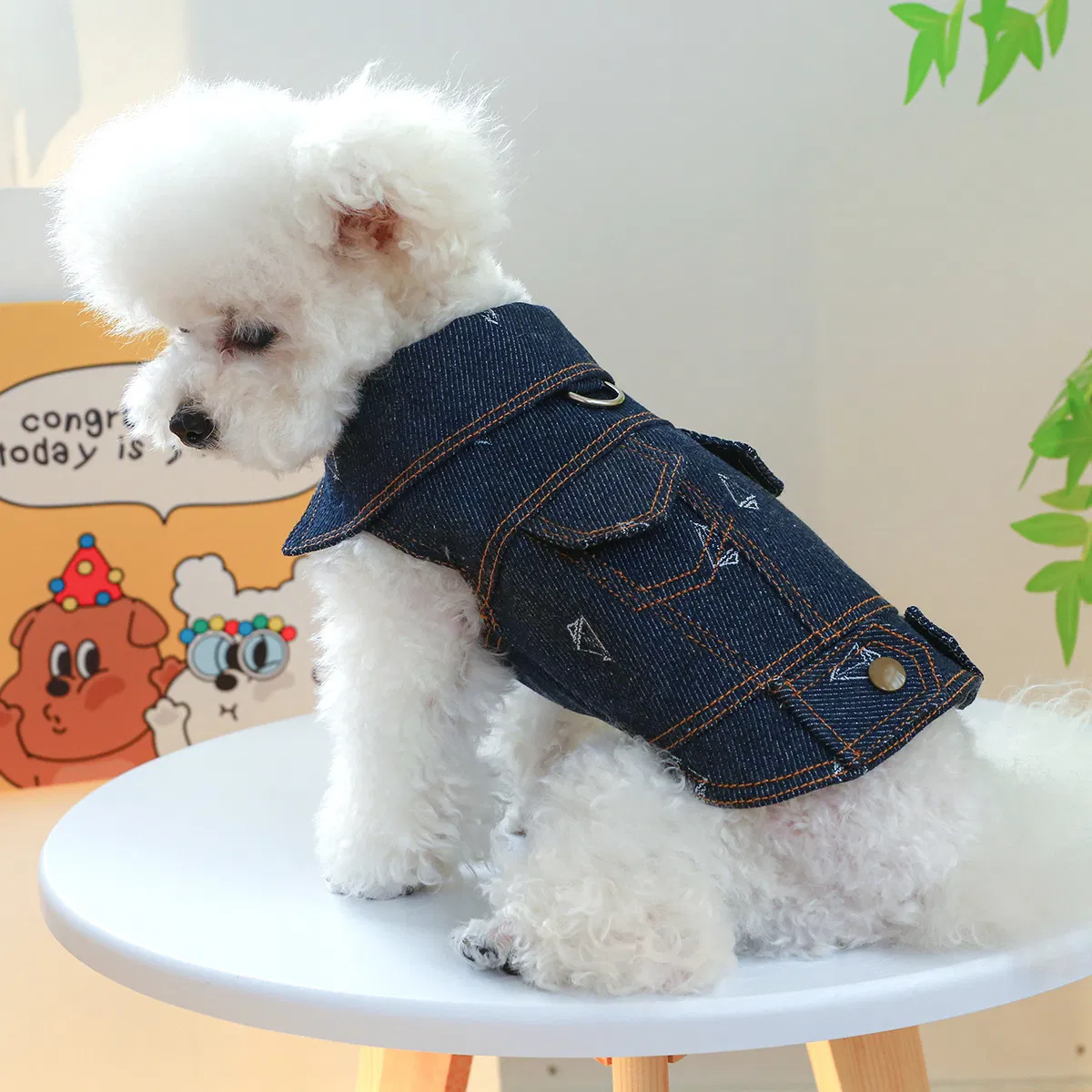 Novo gato de estimação, cachorro de estimação, jeans com botão ajustável