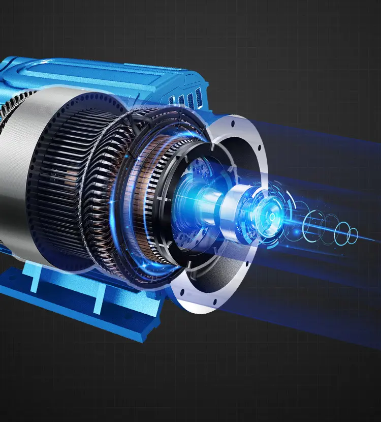 Permanent Magnet Variable Frequency Motor