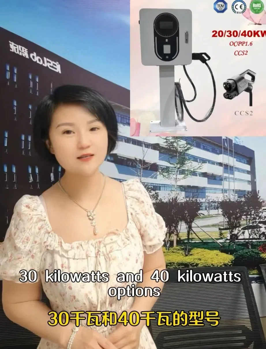 60kw 80kw 120kw 180kw 240kw 360kw استخدام تجاري CCS2 حل شحن بطارية السيارة الكهربائية السريعة DC