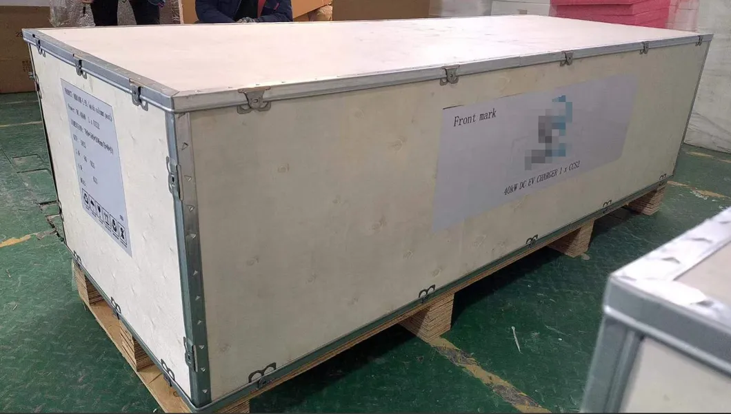IP55 Nacs CCS2 DC Fast EV Charger