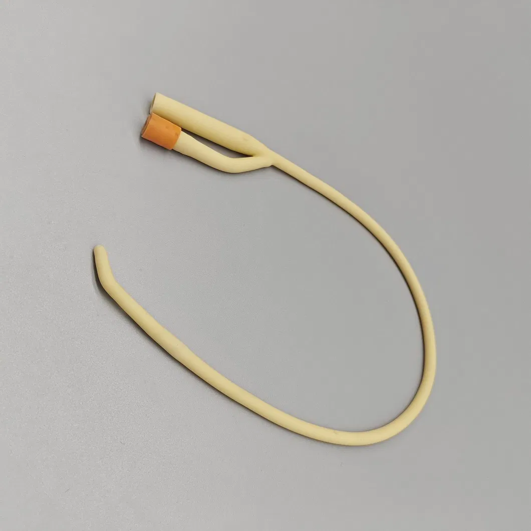Product Detail 2