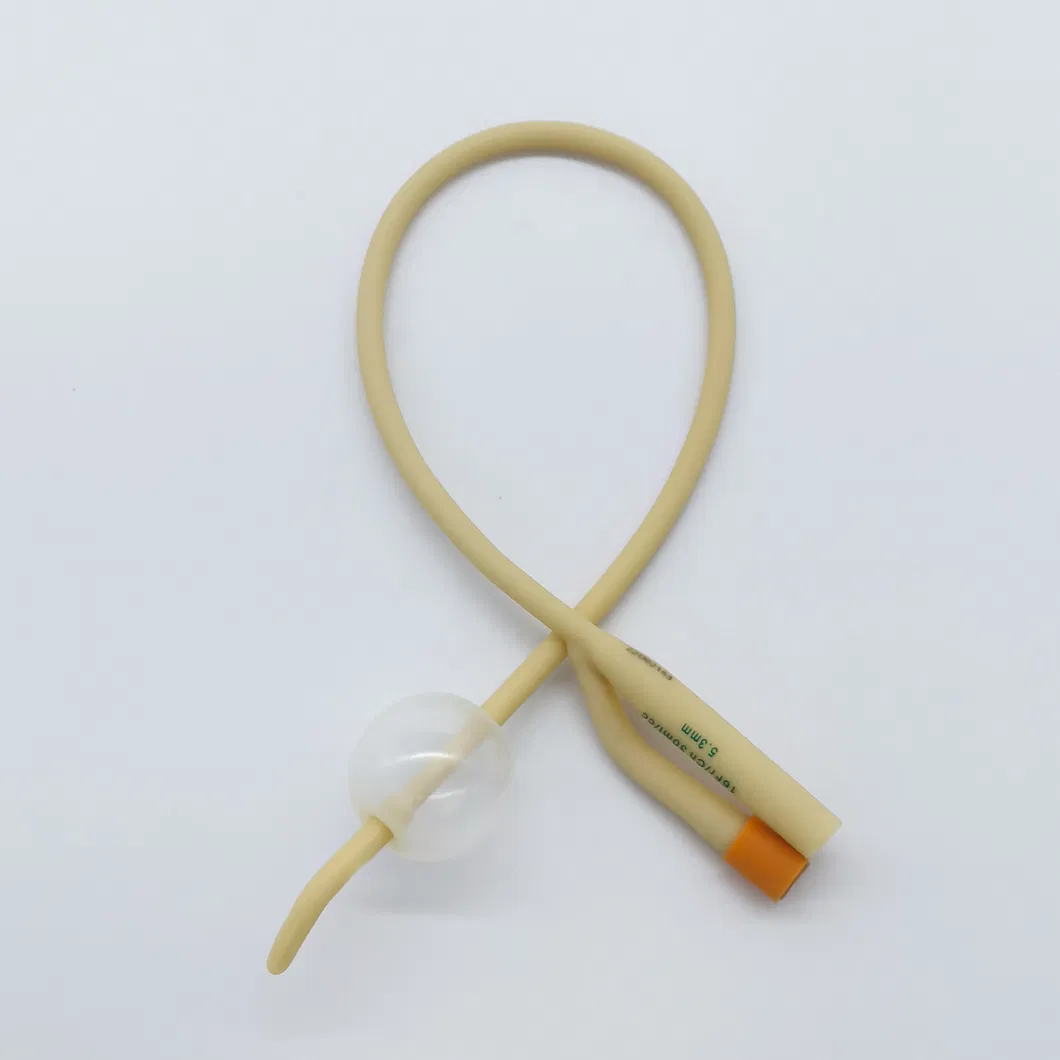 Product Detail 4