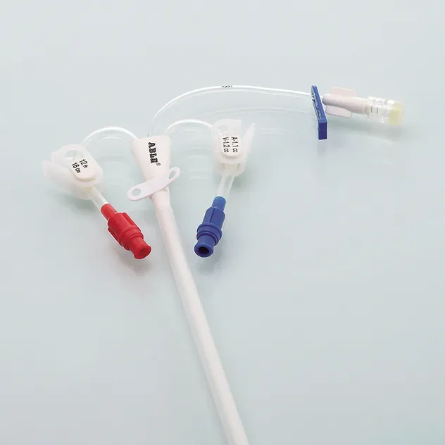 Hemodialysis Catheter 1