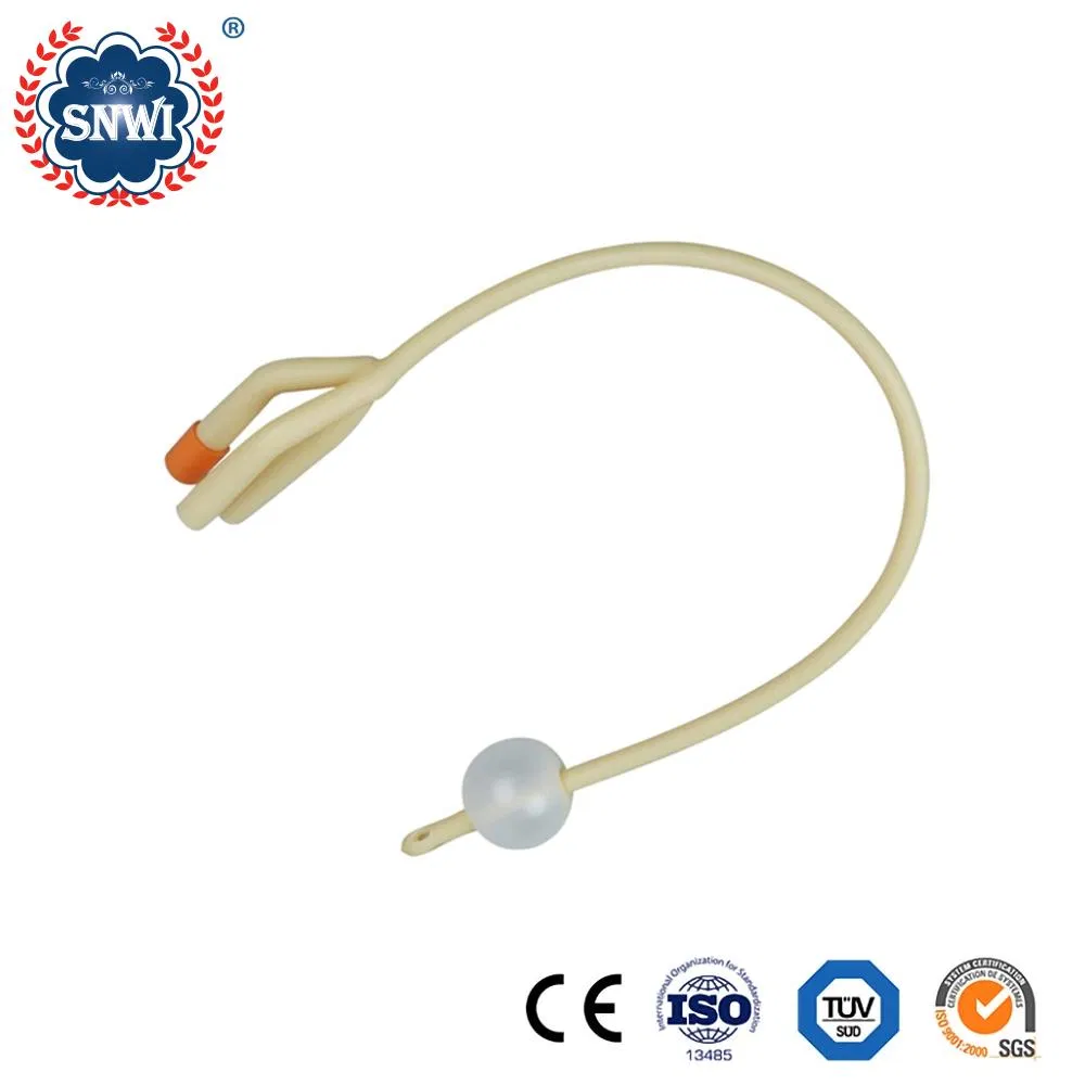 Catheter Detail 2