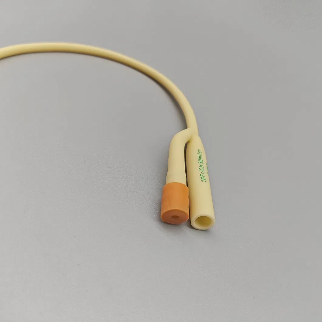 Product Detail 6