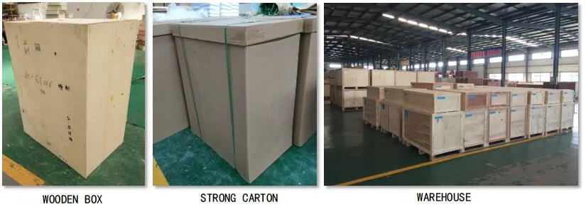 التغليف والشحن