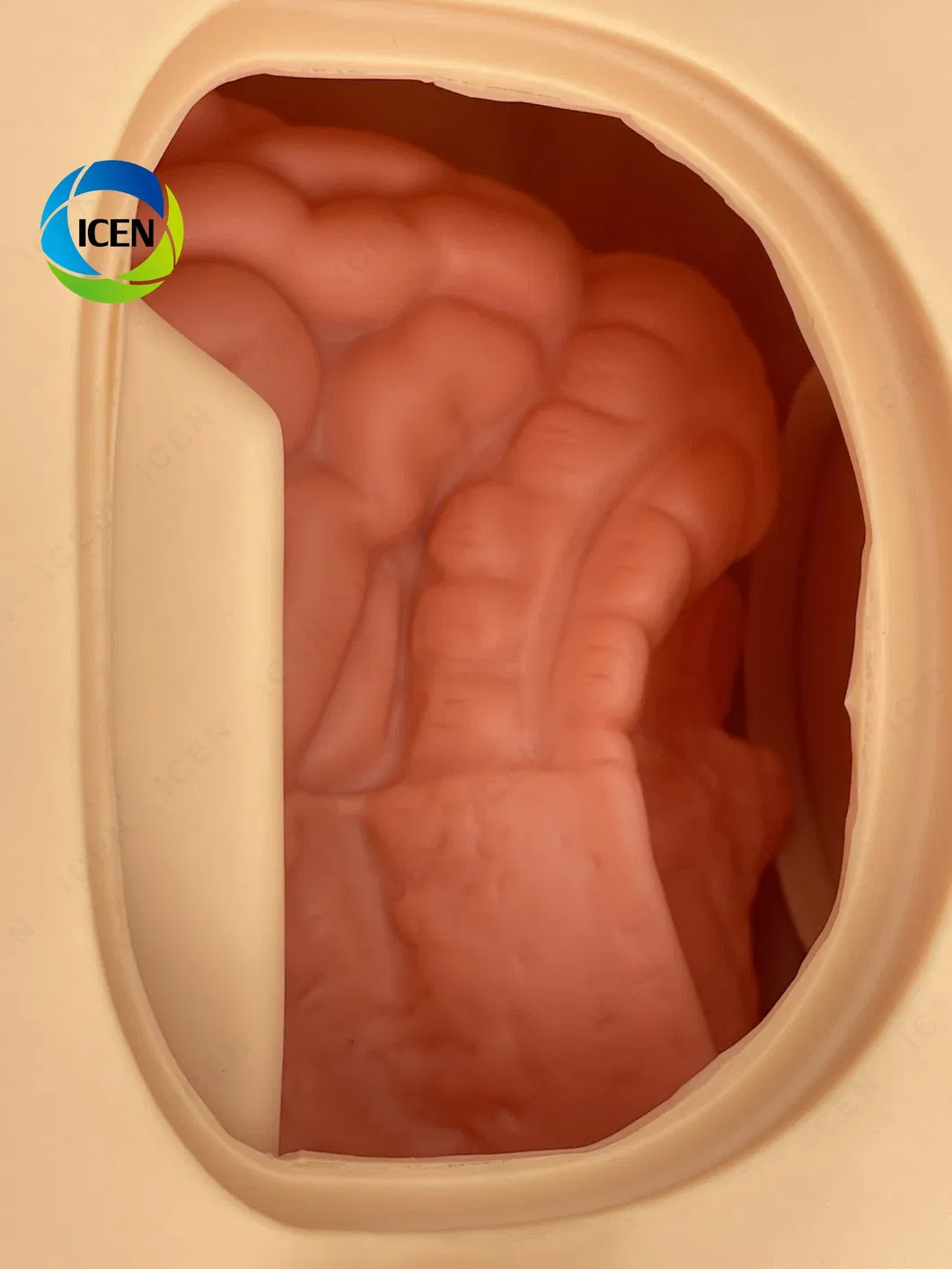 معدات طبية