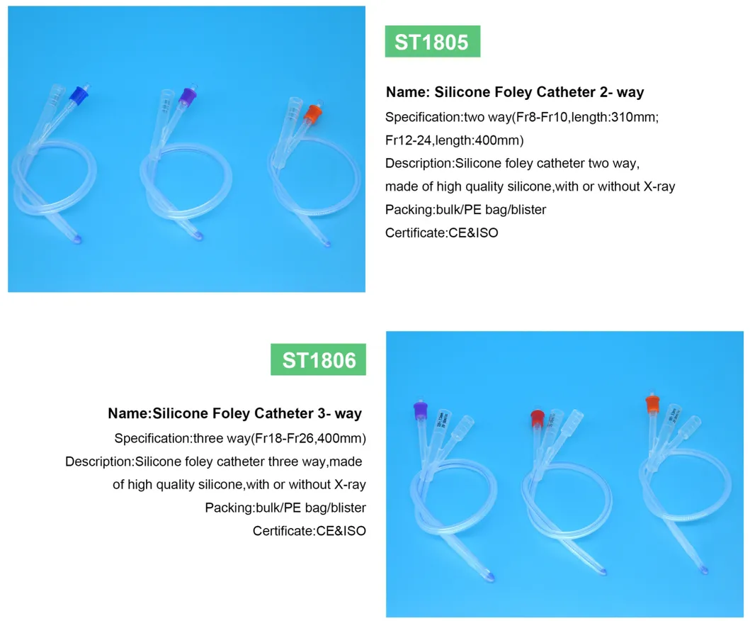 Catheter View 3
