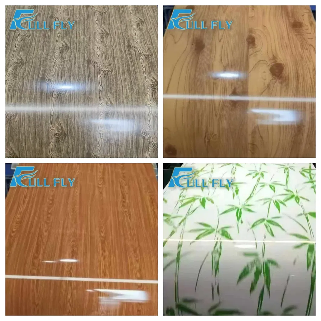 Color Coated Steel Coil Display