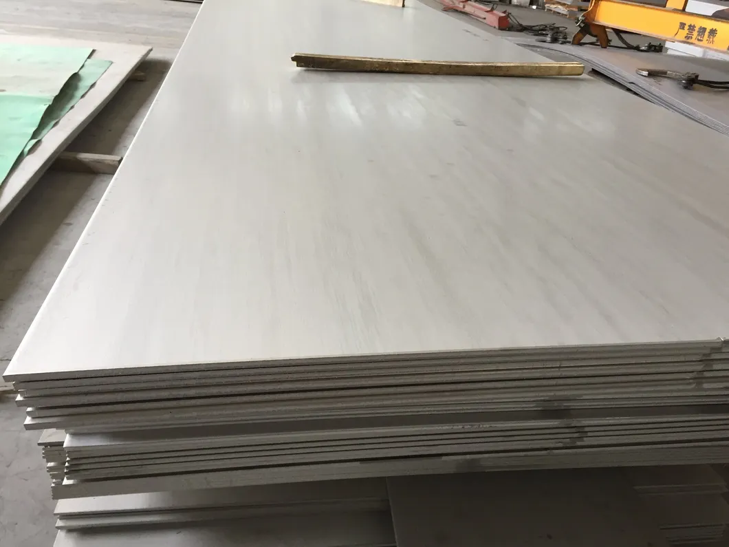 Stainless Steel Plate 5