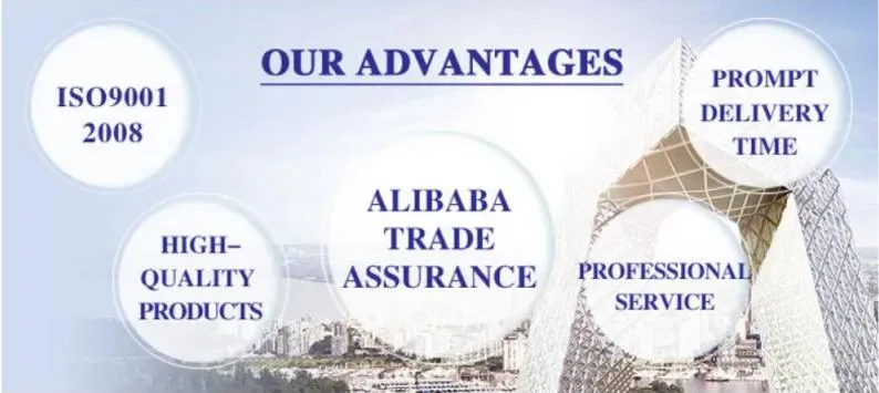 Competitive Advantages