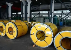 Detailed Surface View