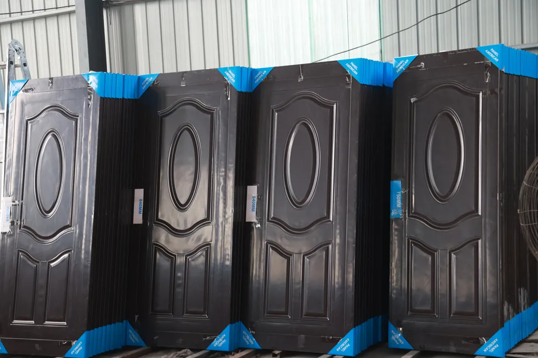 Steel Security Door Design 1